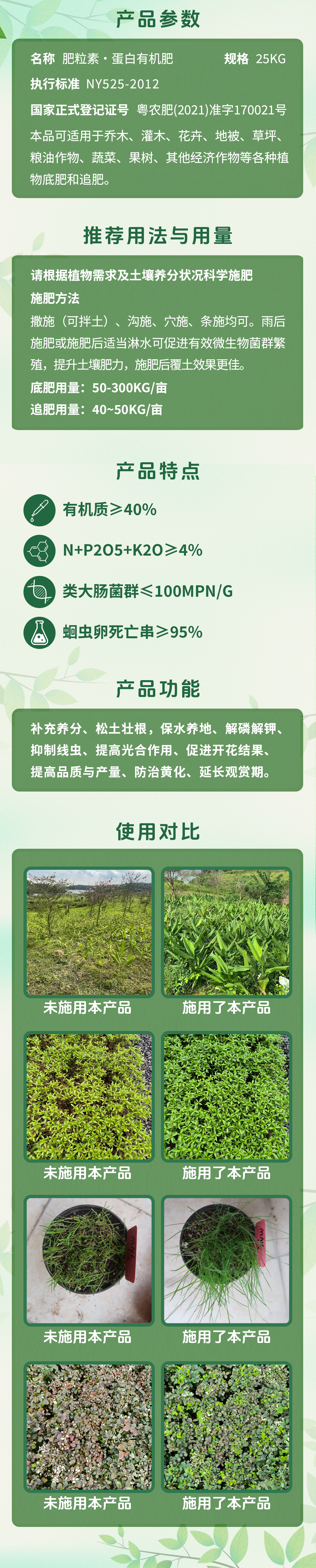 肥粒素長(zhǎng)圖.jpg